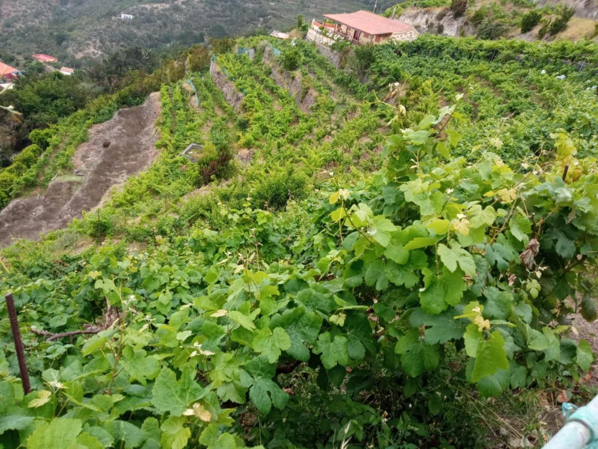 Casa Rural Quilla Agulo Eksteriør billede