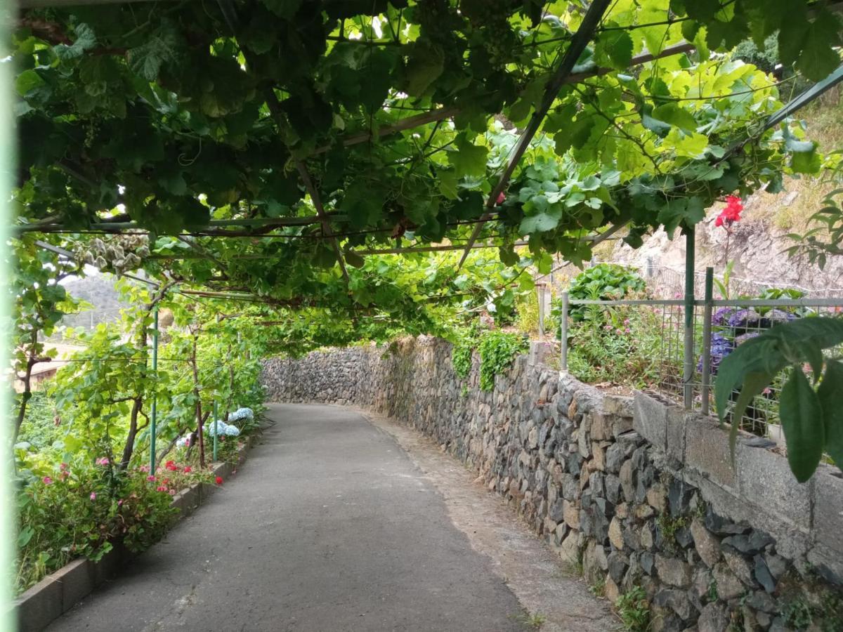 Casa Rural Quilla Agulo Eksteriør billede