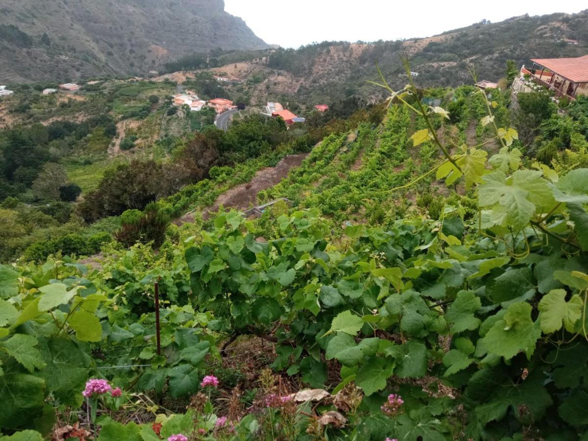Casa Rural Quilla Agulo Eksteriør billede
